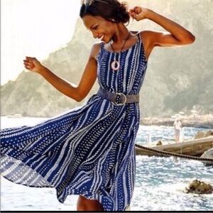 Navy and white cabi dress